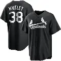 Men's No.38 Kodi Whitley St. Louis Cardinals Black/White Replica Jersey