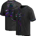 Youth No.22 Michael Siani St. Louis Cardinals Black Replica Holographic Alternate Jersey